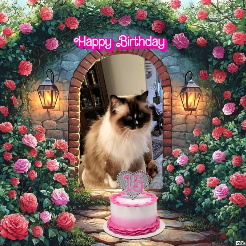 Ada uploaded   9  day/s  ago