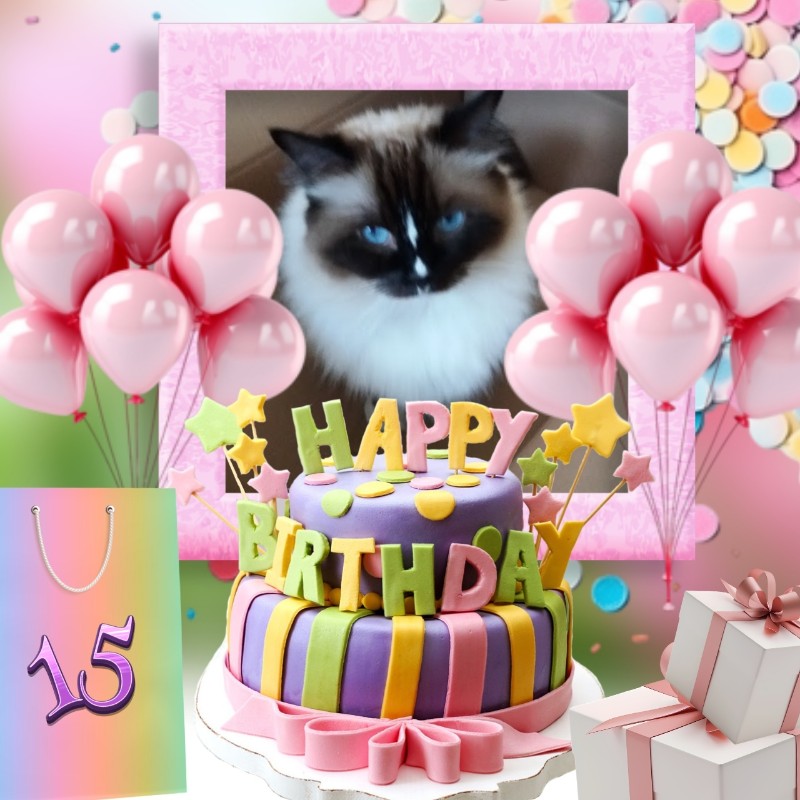 Ada uploaded   9  day/s  ago