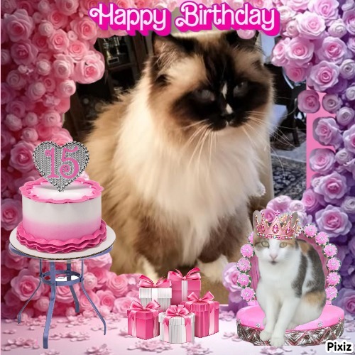 Solana of the Ada family