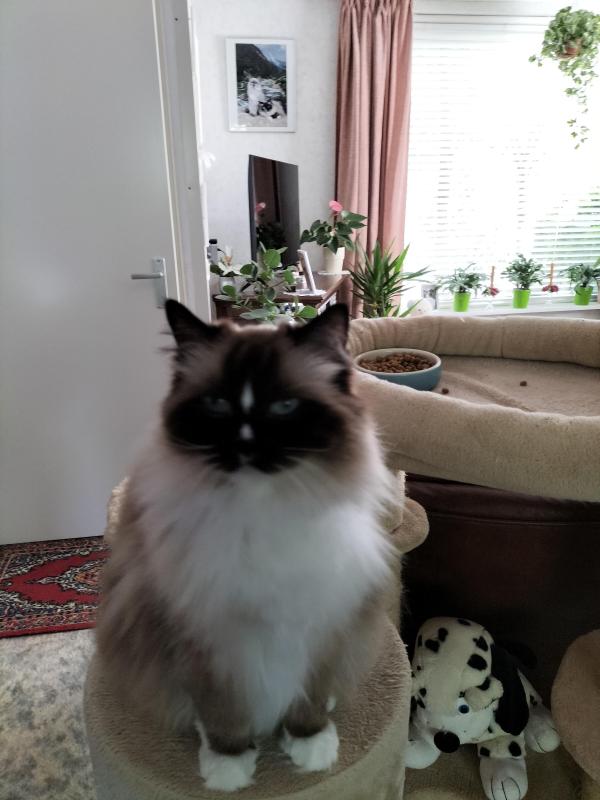 Ada uploaded   2  day/s  ago