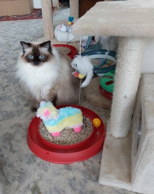 Ada uploaded   4 year/s ago