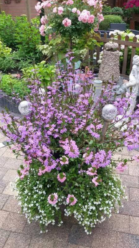 Ada uploaded   260  day/s  ago