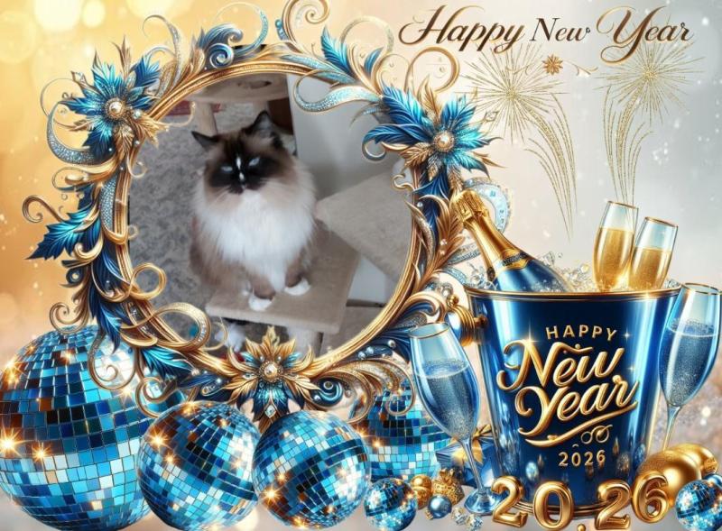 Solana of the Ada family