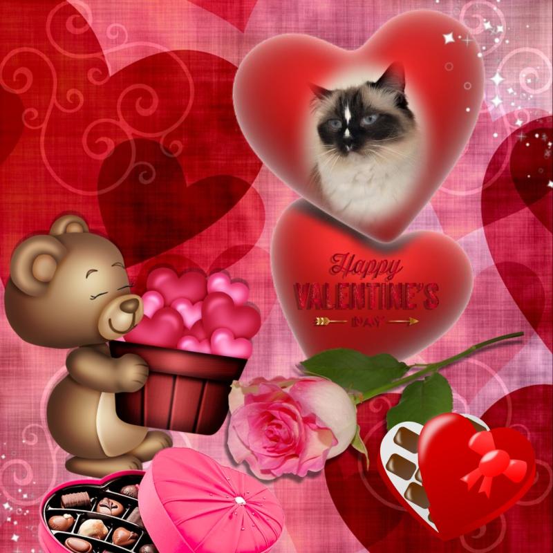 Solana of the Ada family