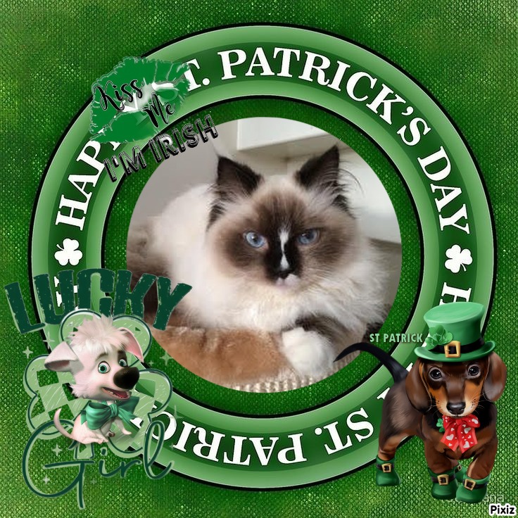 Ada uploaded   32  day/s  ago