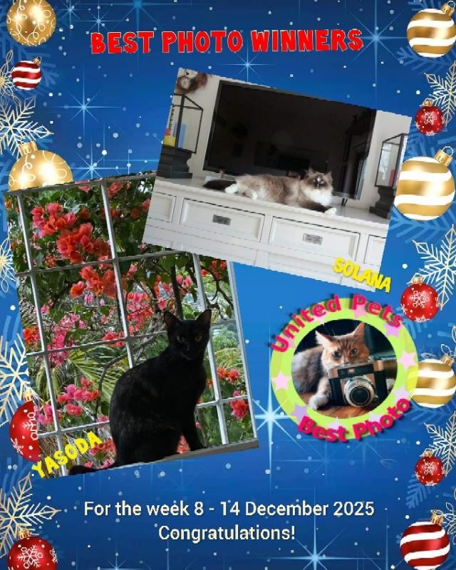 Solana of the Ada family