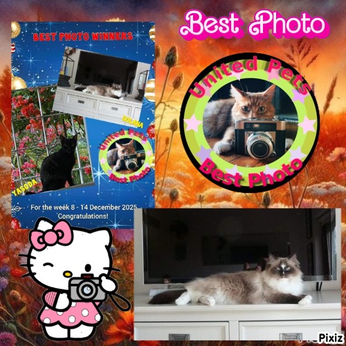 Solana of the Ada family