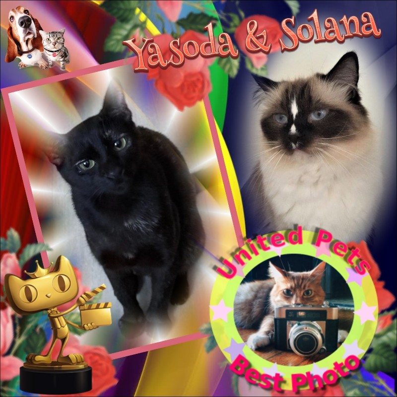 Solana of the Ada family