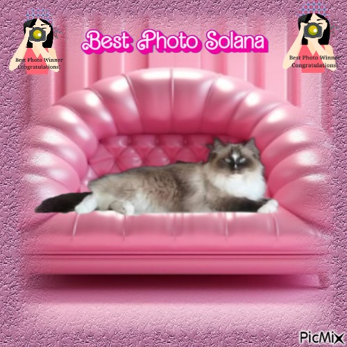 Solana of the Ada family