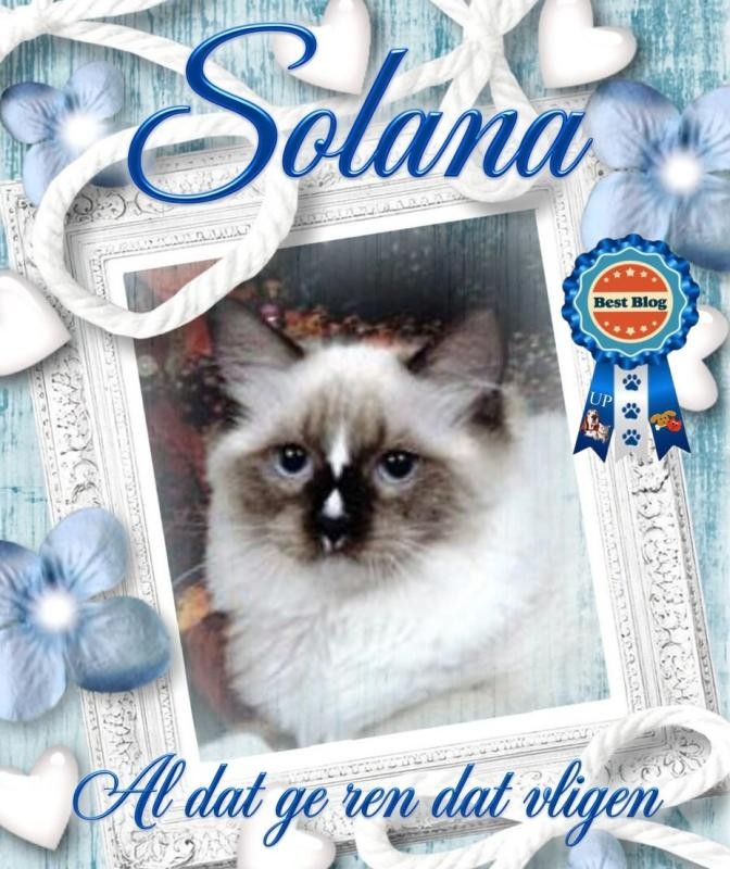 Solana of the Ada family