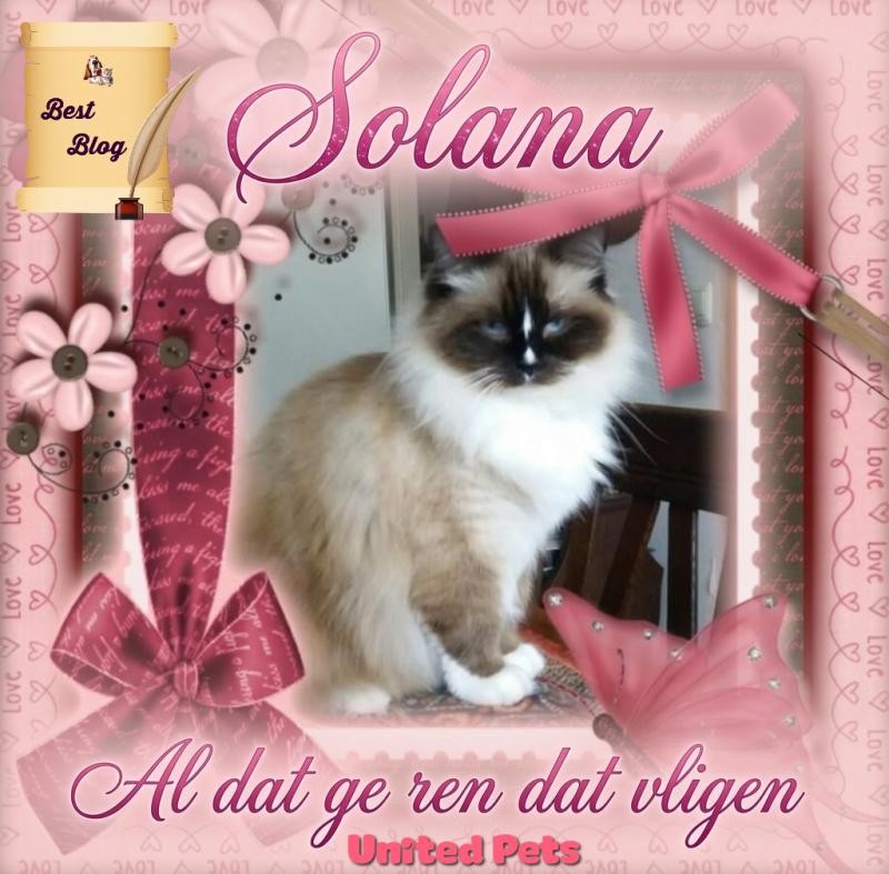 Solana of the Ada family