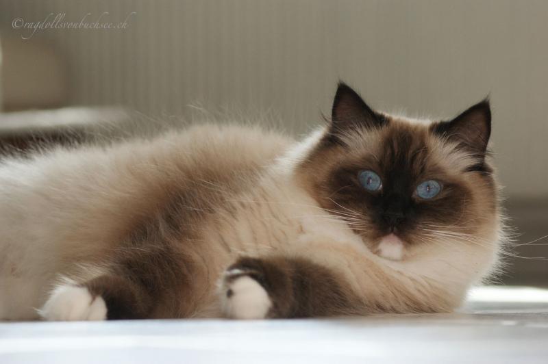 Ada uploaded   1 year/s ago