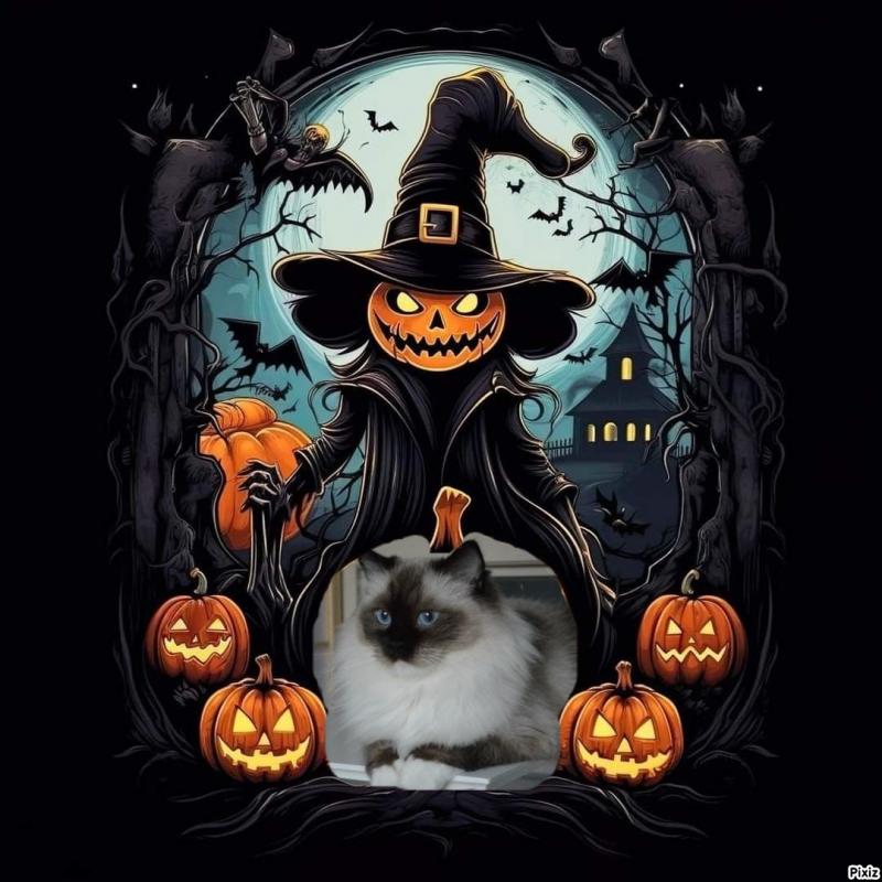 Mayerida of the Ada family