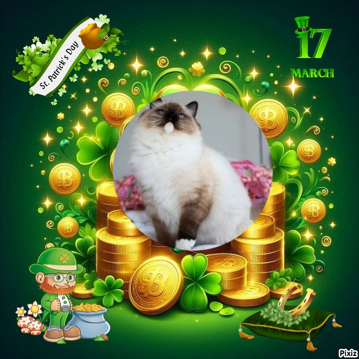 Mayerida of the Ada family