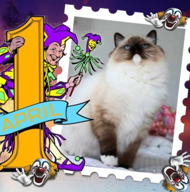 Mayerida of the Ada family