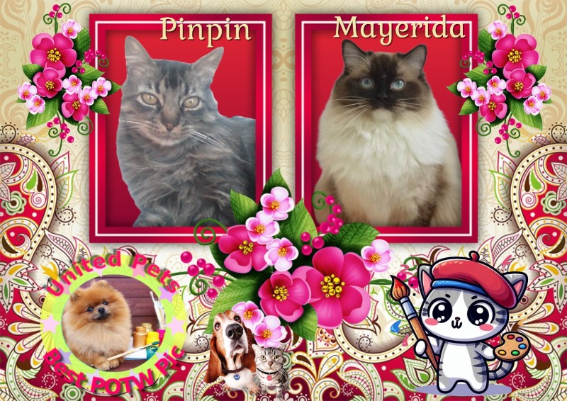 Mayerida of the Ada family