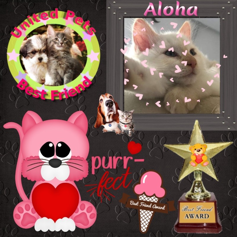Ada uploaded   2 year/s ago