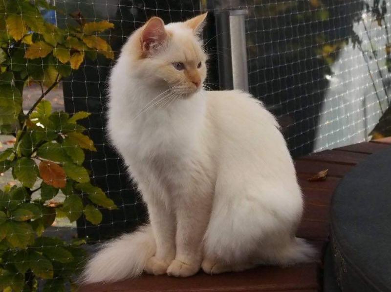 Ada uploaded   1 year/s ago