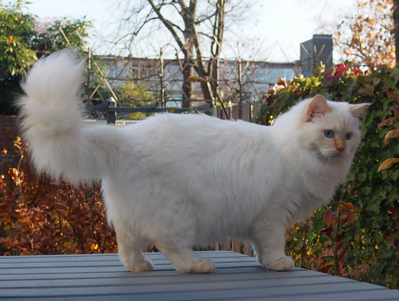 Ada uploaded   2 year/s ago