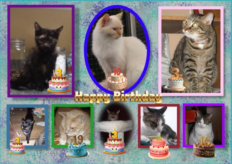 Ada uploaded   233  day/s  ago