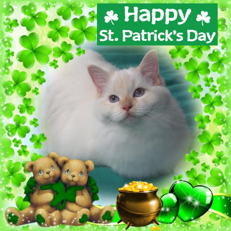 Ada uploaded   32  day/s  ago