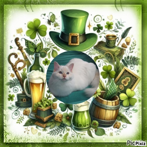 Ada uploaded   32  day/s  ago