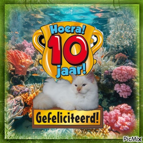 Ada uploaded   233  day/s  ago