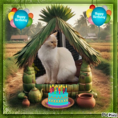 Ada uploaded   233  day/s  ago