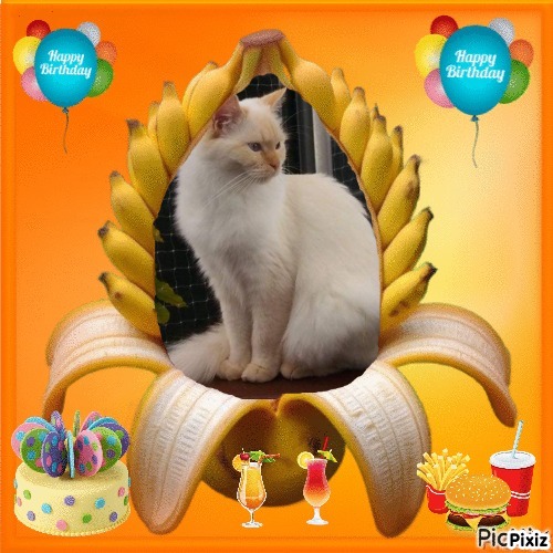 Ada uploaded   233  day/s  ago