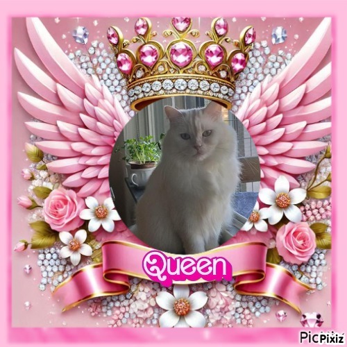 Ada uploaded   1 year/s ago