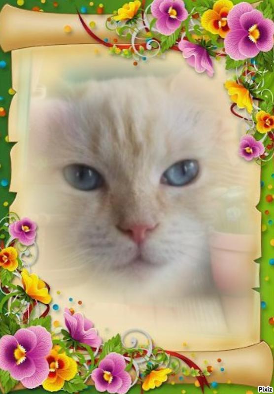 Ada uploaded   42  day/s  ago