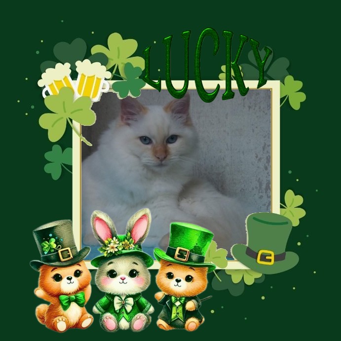 Ada uploaded   41  day/s  ago