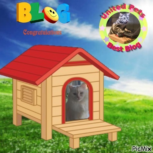 Ada uploaded   41  day/s  ago