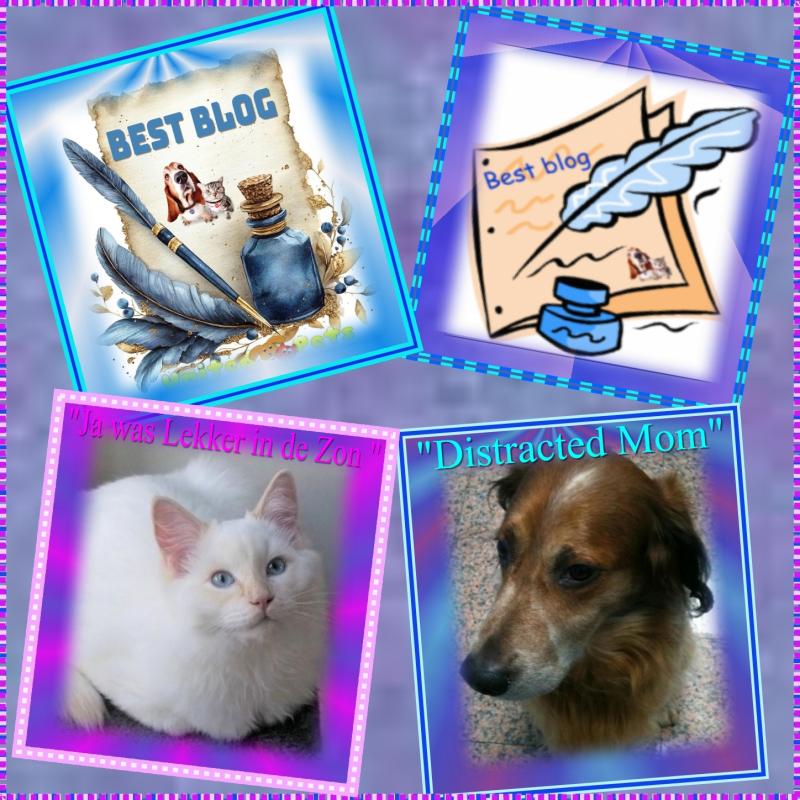 Ada uploaded   41  day/s  ago