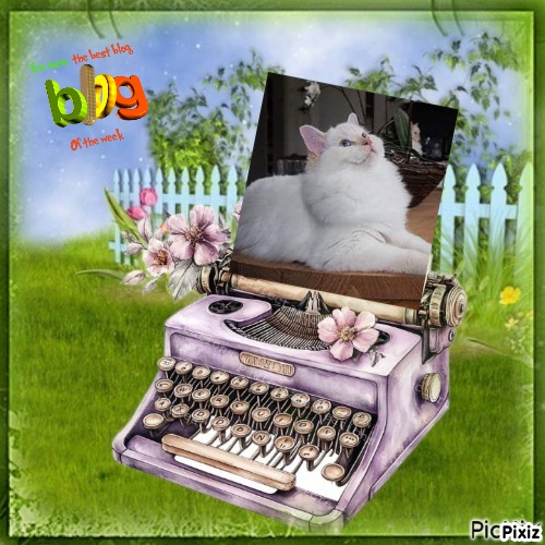 Ada uploaded   41  day/s  ago