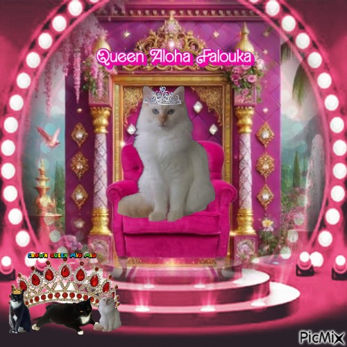 Ada uploaded   1 year/s ago