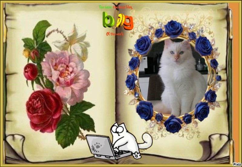 Ada uploaded   42  day/s  ago