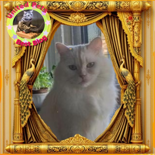 Aloha Falouka of the Ada family