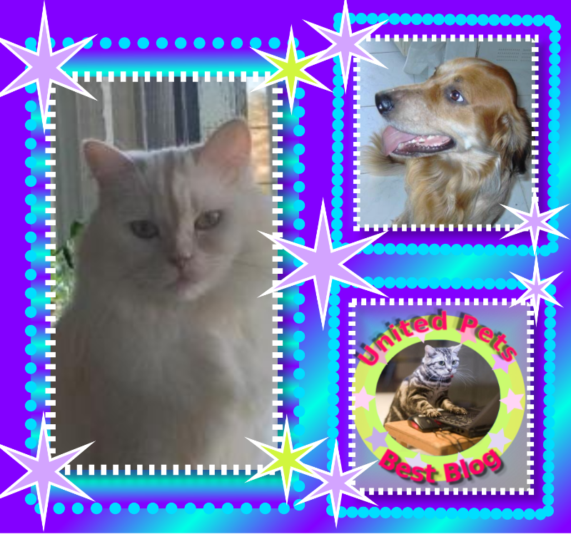 Aloha Falouka of the Ada family