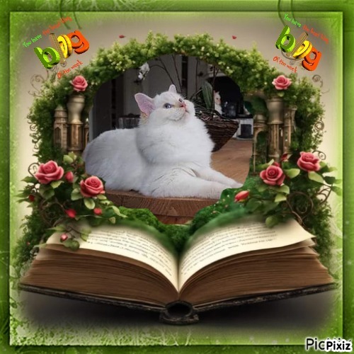 Ada uploaded   42  day/s  ago