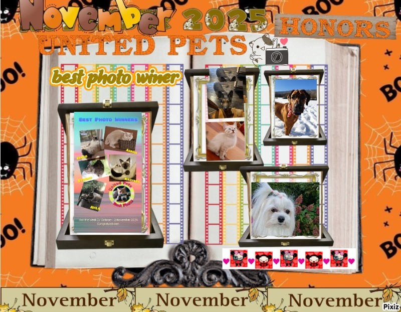 Aloha Falouka of the Ada family