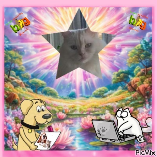 Aloha Falouka of the Ada family