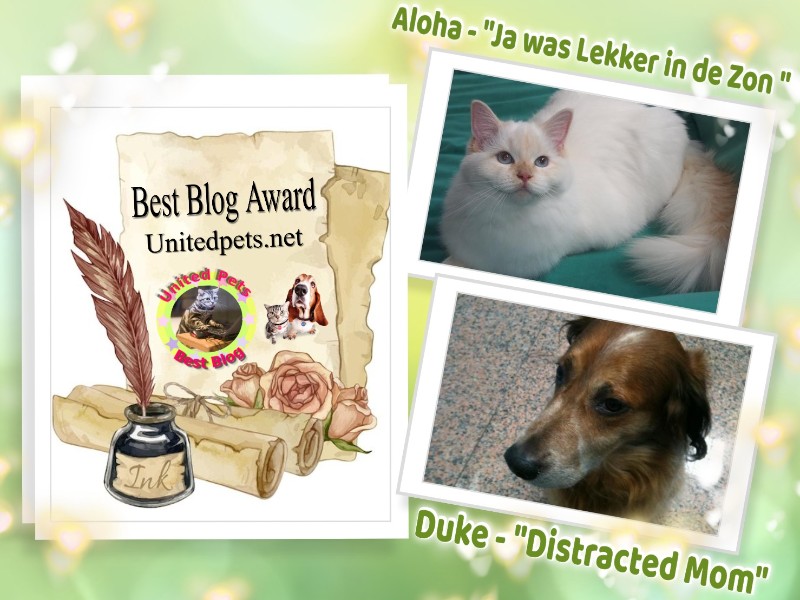 Aloha Falouka of the Ada family