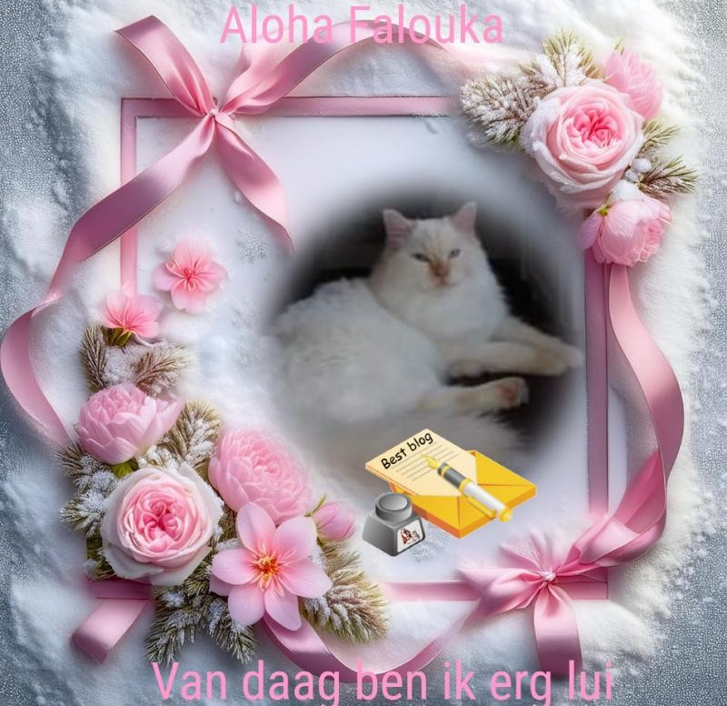 Aloha Falouka of the Ada family