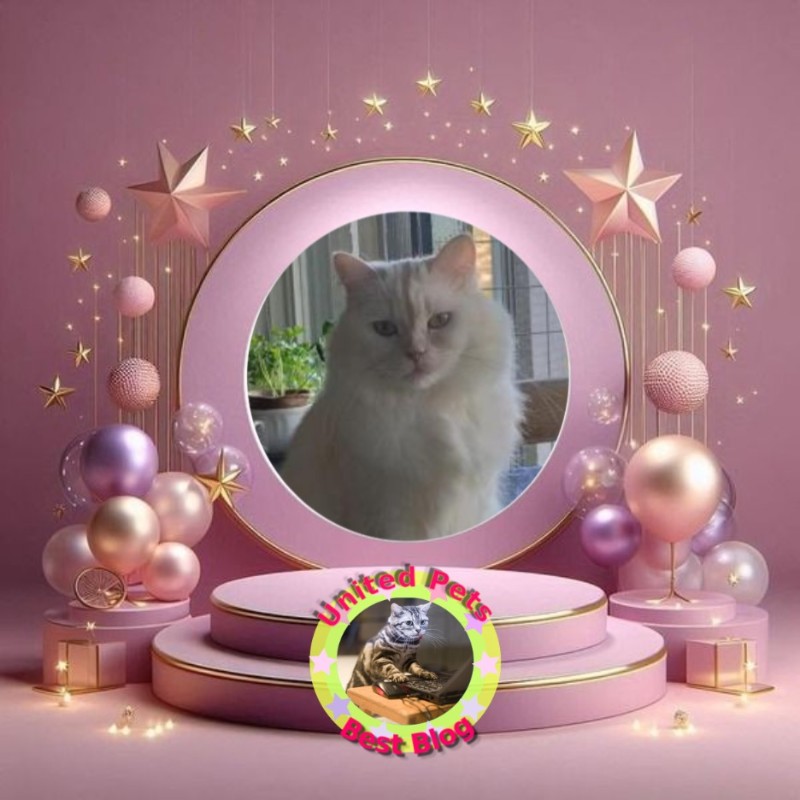 Ada uploaded   32  day/s  ago