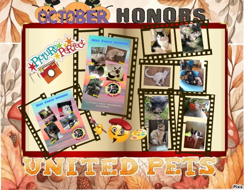 Aloha Falouka of the Ada family