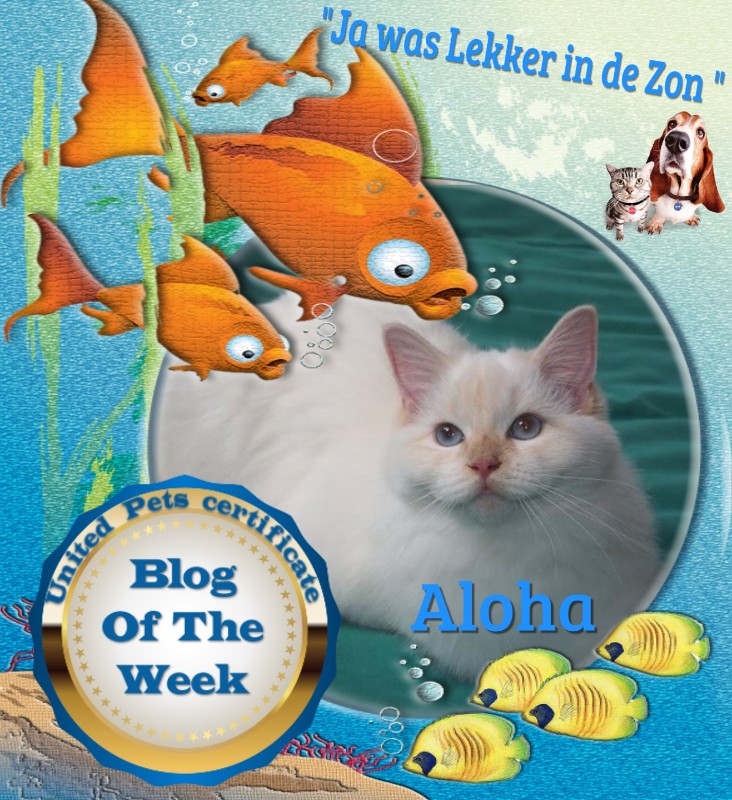 Aloha Falouka of the Ada family