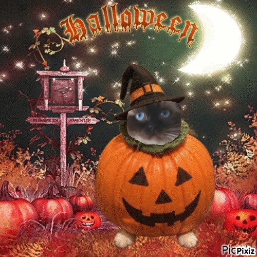 Genesis-sisca of the Ada family