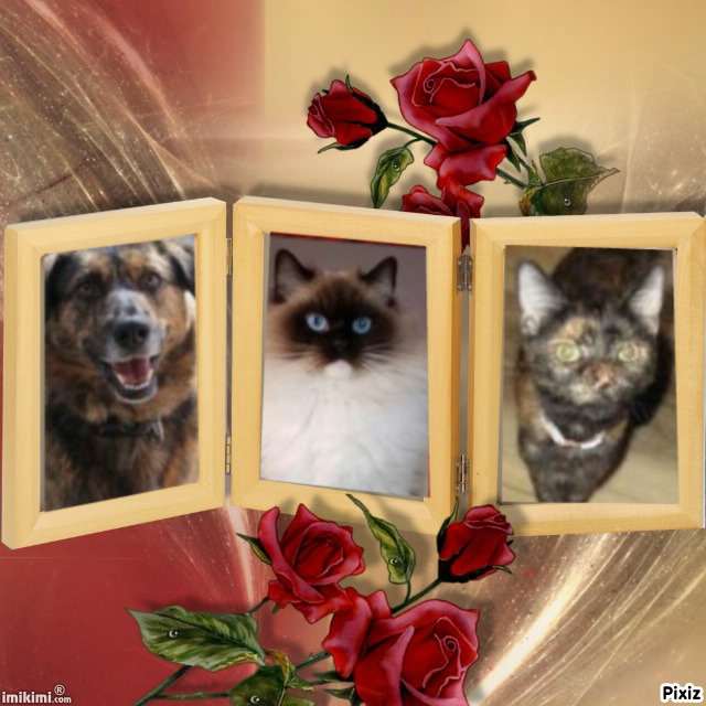 Genesis-sisca of the Ada family