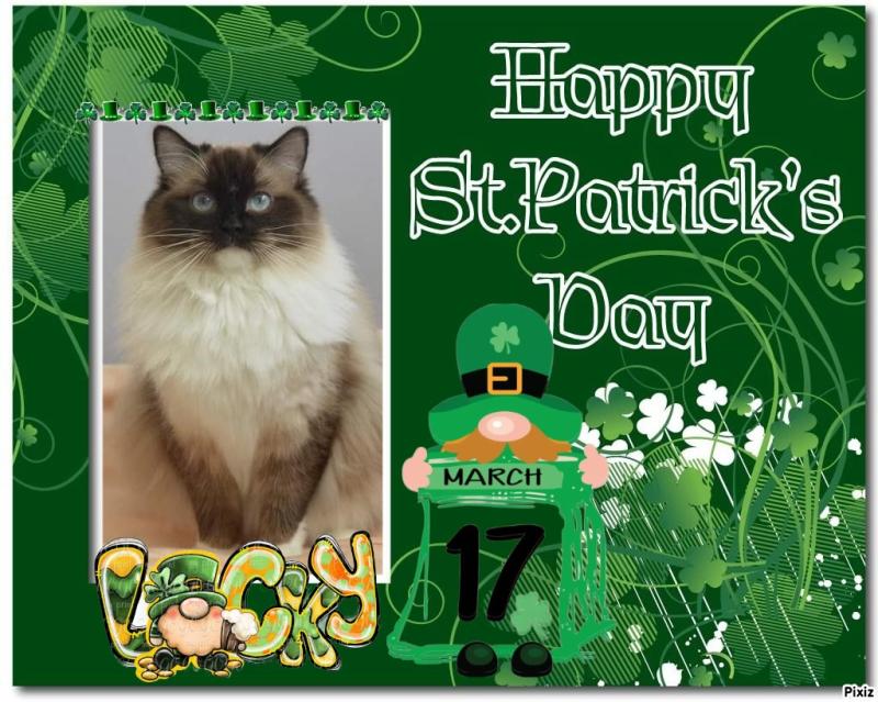 Ada uploaded   32  day/s  ago